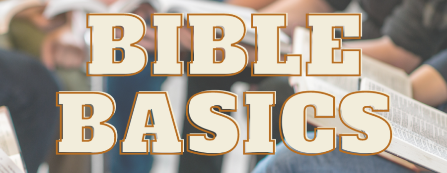 Build your Bible Basics knowledge!